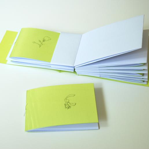 "8 Minutes". Künstlerbuch. Einsteck-Leporello mit 8 Heften. Pflanzenzeichnungen, jede Zeichnung in einer Minute gezeichnet. Grüne Folie, Schreibpapier. 8 x 11,7 x 3,5 cm. 2012